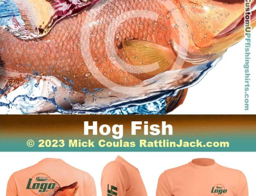 Hogfish
