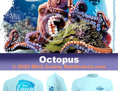 Free Octopus Image