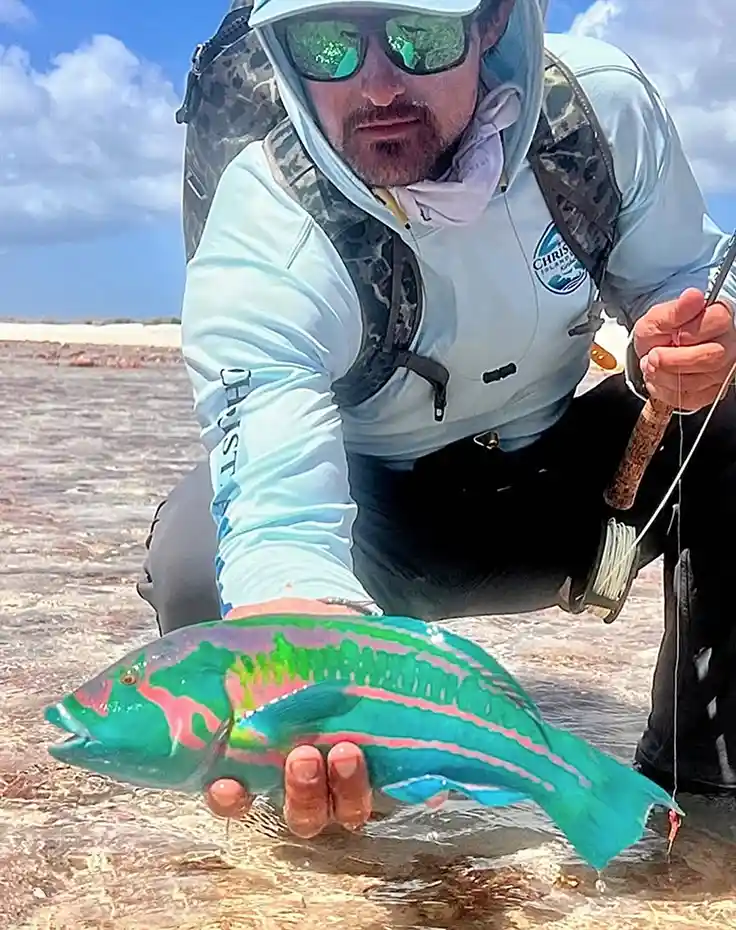 A guest catches a Surge Wrasse on the fly while wearing a Christmas Island Lodge branded custom fishing shirt.