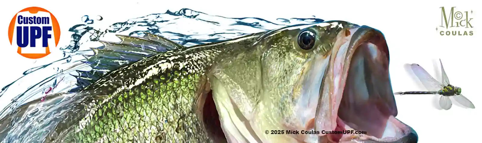 Bass fish leaping out of the water to capture a dragon fly digital illustration by Mick Coulas
