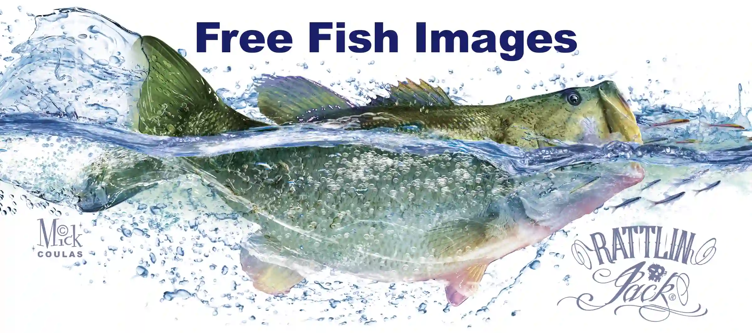 Free fishing t shirt images on Custom Fishing Shirts we make for you.
